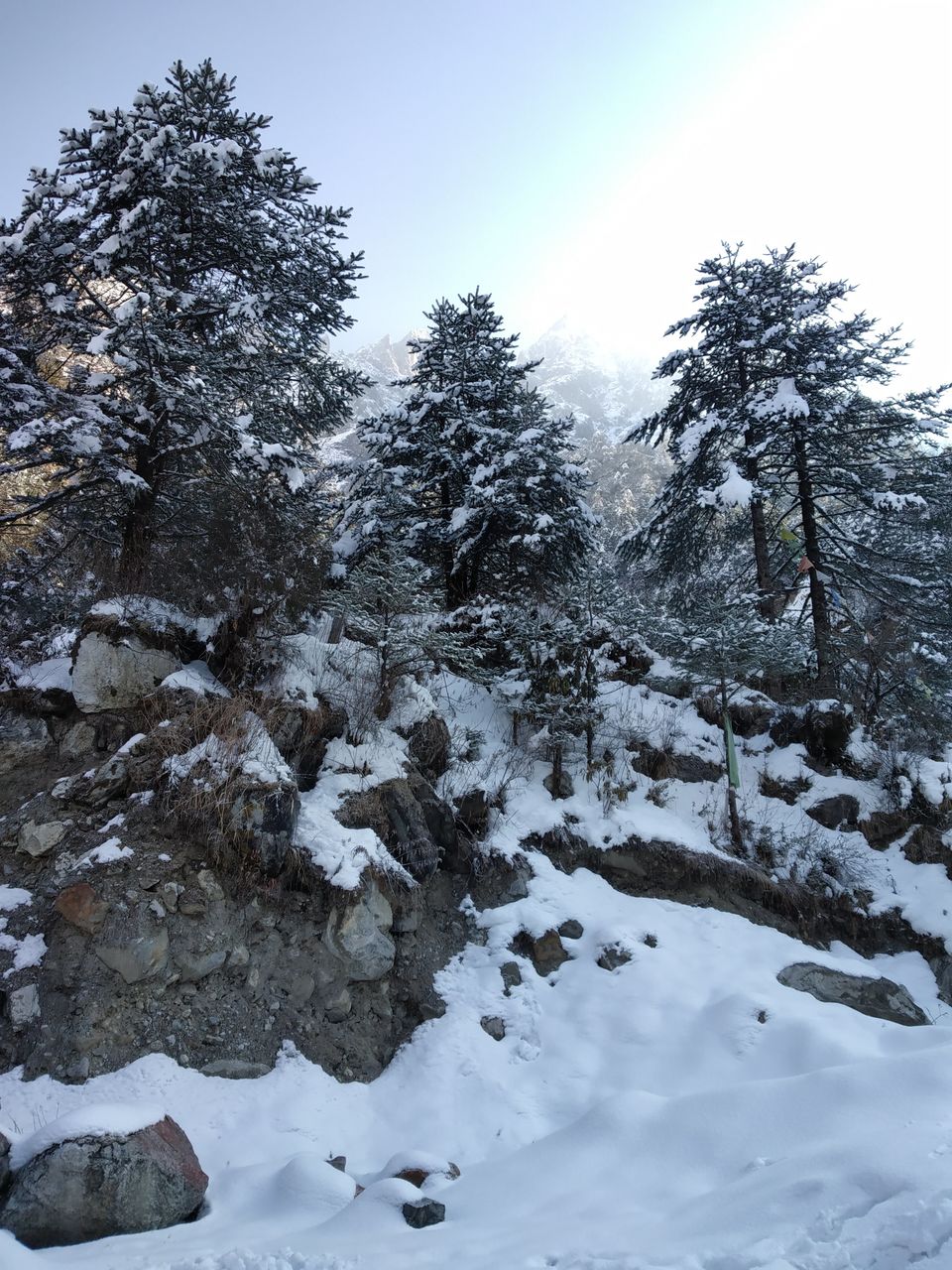 Photo of Zero Point Yumthang Valley, Sikkim, India by Abhiman Kokate