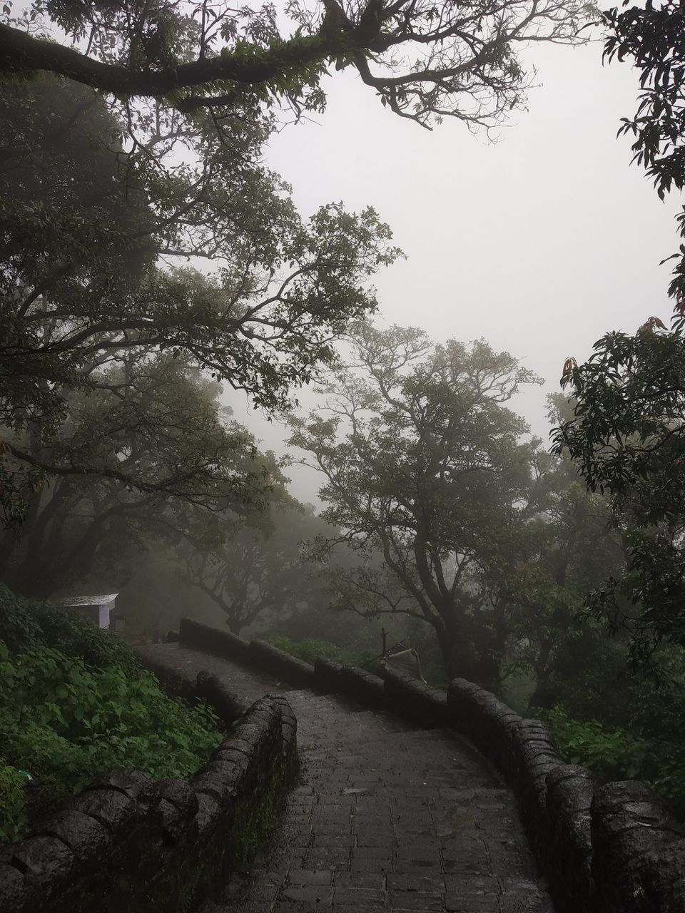 Photo of Want to go on 1st trek! Visit the Simplest & Mighty Lohgad fort in Lonawala. Quick Getaway from Pune 5/23 by Abhiman Kokate