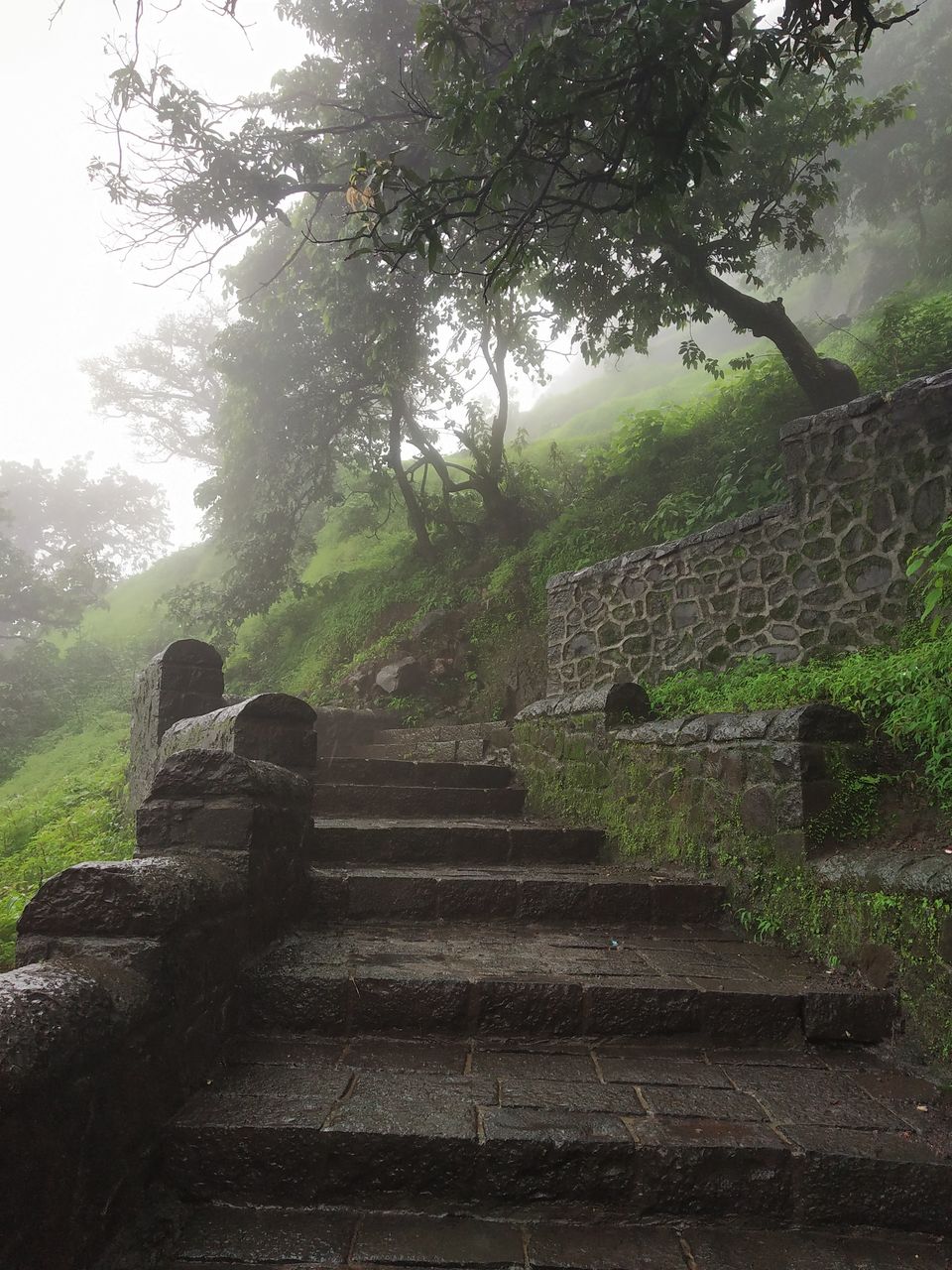 Photo of Want to go on 1st trek! Visit the Simplest & Mighty Lohgad fort in Lonawala. Quick Getaway from Pune 6/23 by Abhiman Kokate