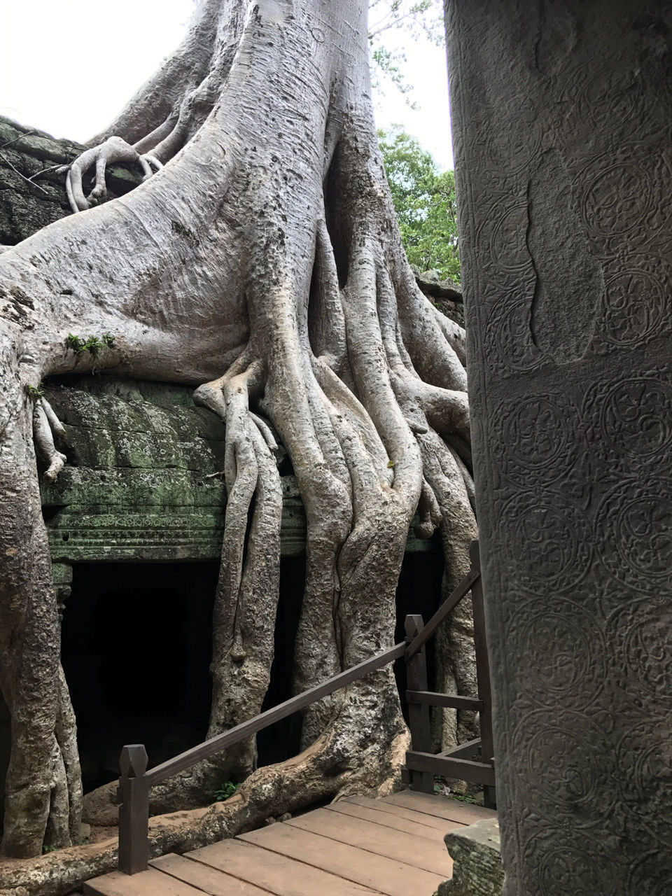 Photo of Ta Prohm, Krong Siem Reap, Cambodia by The Fragile Cargo