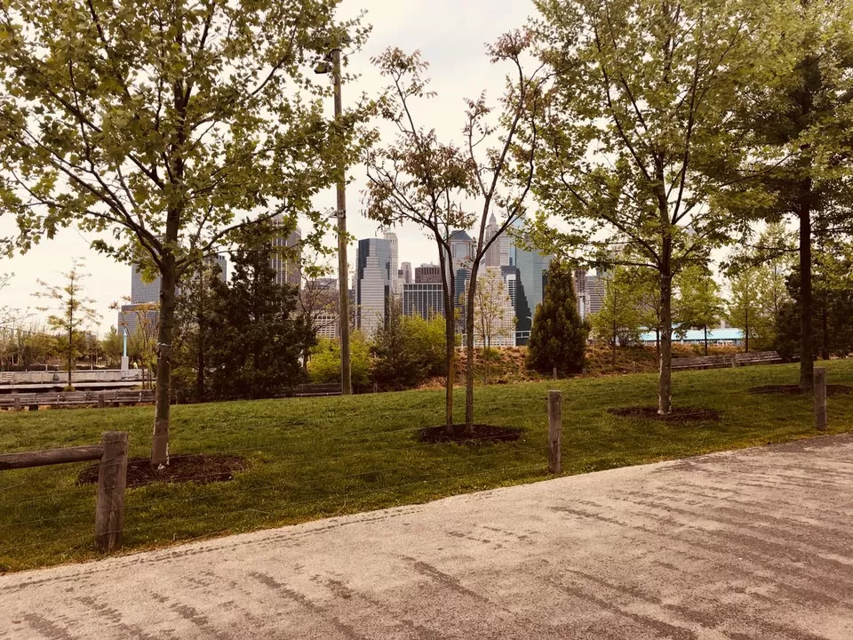 Photo of Brooklyn Bridge Park, Furman Street, Brooklyn, NY, USA by The Fragile Cargo