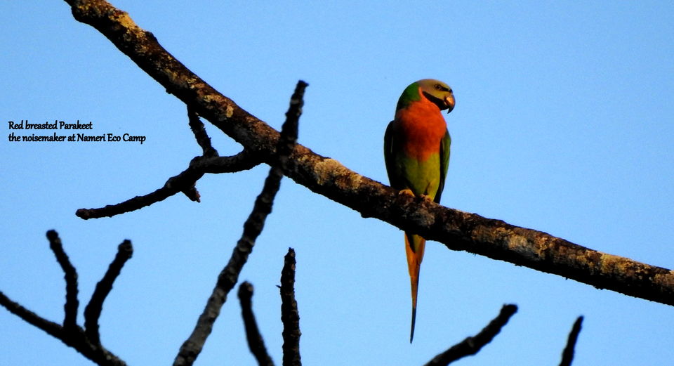 Photo of My first visit to the North Eastern frontiers of India 12/32 by Dhrubajyoti Das