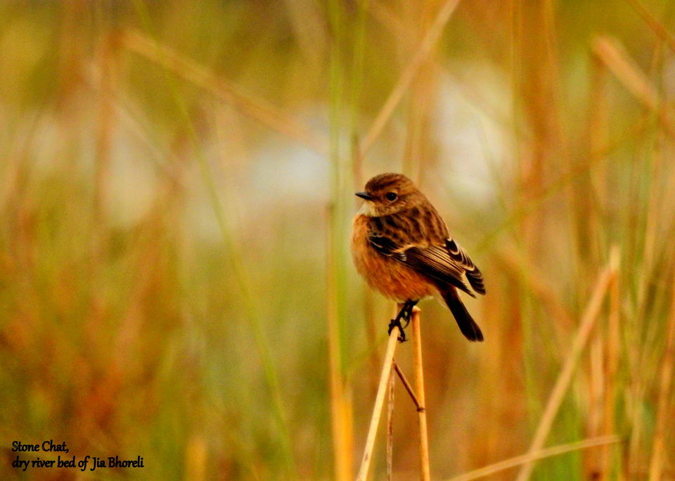 Photo of My first visit to the North Eastern frontiers of India 13/32 by Dhrubajyoti Das