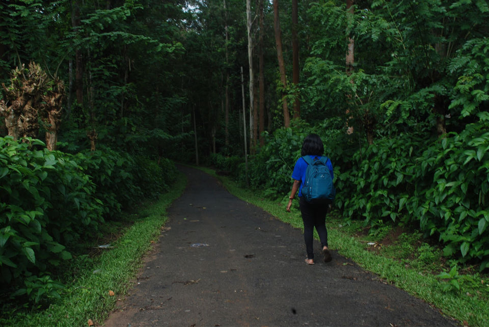 Photo of Coorg, Karnataka, India by Preeti Das