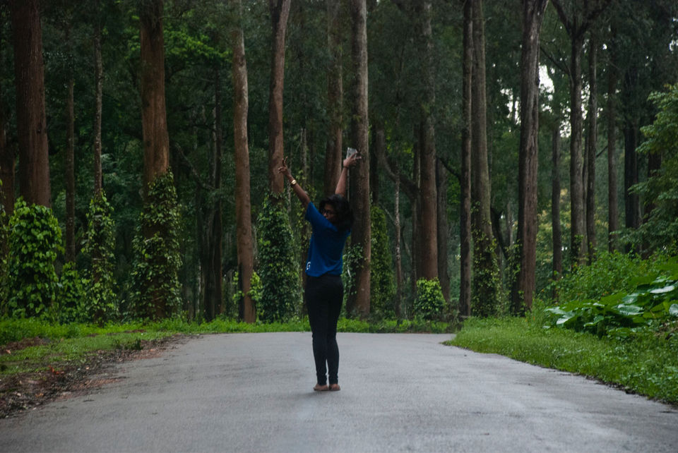 Photo of Coorg, Karnataka, India by Preeti Das