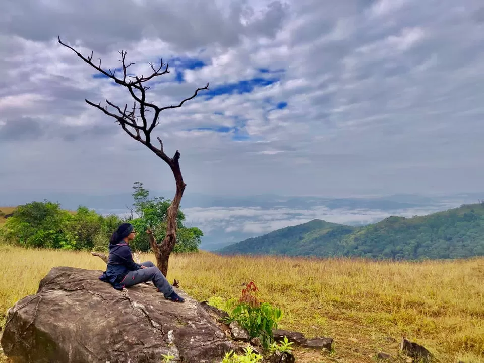 Photo of A magical trek to Kumara Parvatha ! by Preeti Das