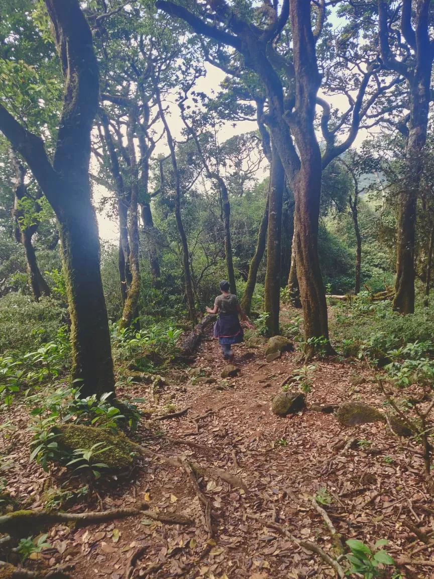 Photo of A magical trek to Kumara Parvatha ! by Preeti Das