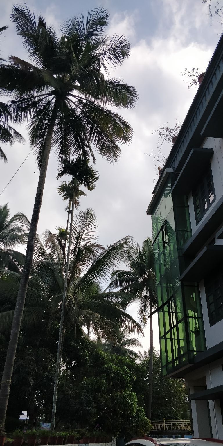 Photo of Plan for a 6day road trip through Kerala by Mallikarjuna Swamy