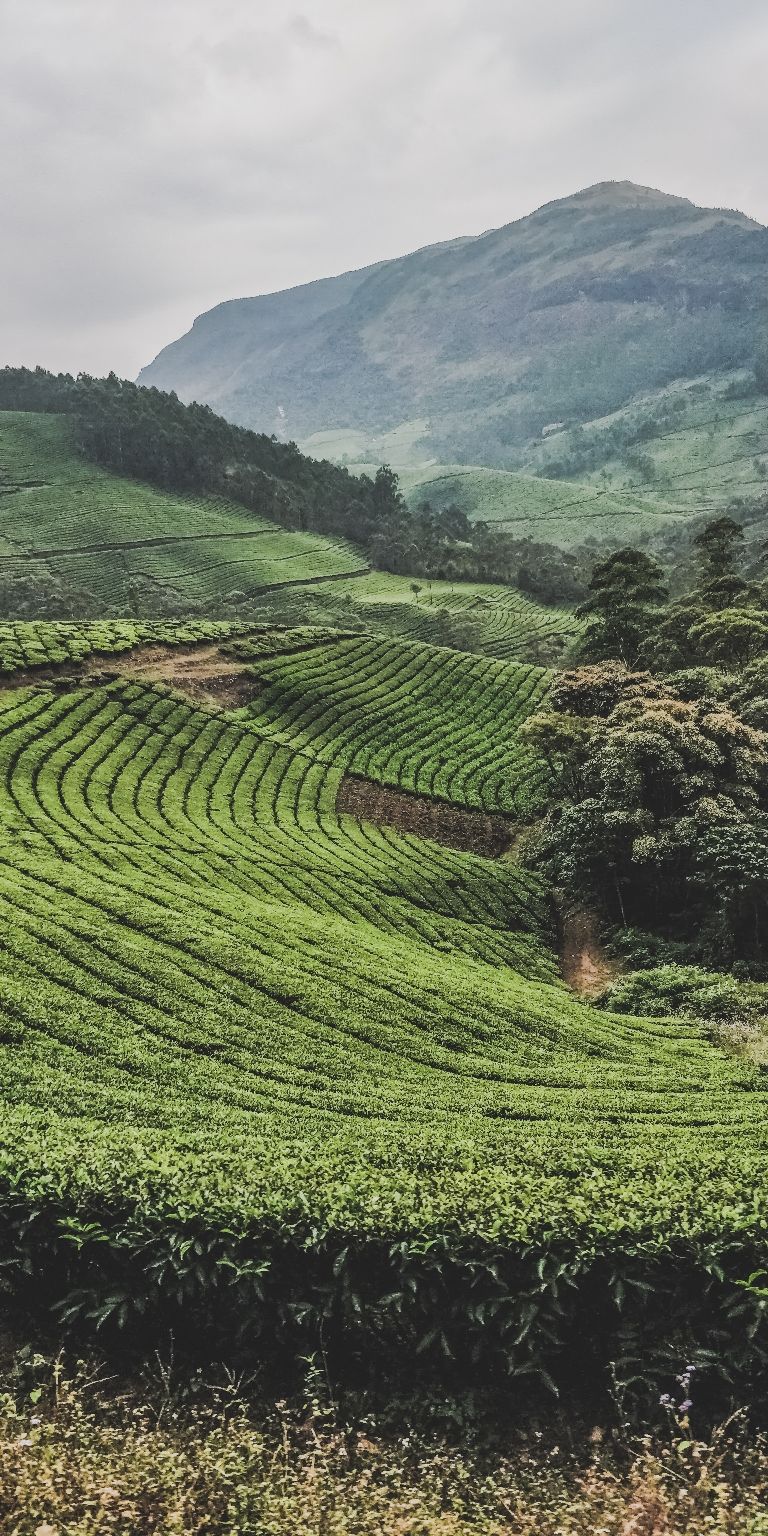 Photo of Plan for a 6day road trip through Kerala by Mallikarjuna Swamy