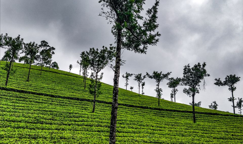 Photo of Plan for a 6day road trip through Kerala by Mallikarjuna Swamy