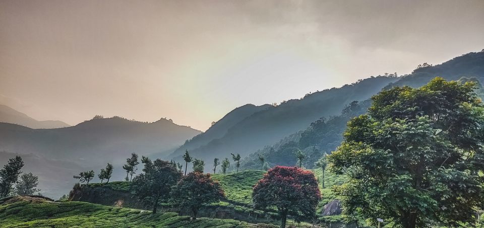 Photo of Plan for a 6day road trip through Kerala by Mallikarjuna Swamy