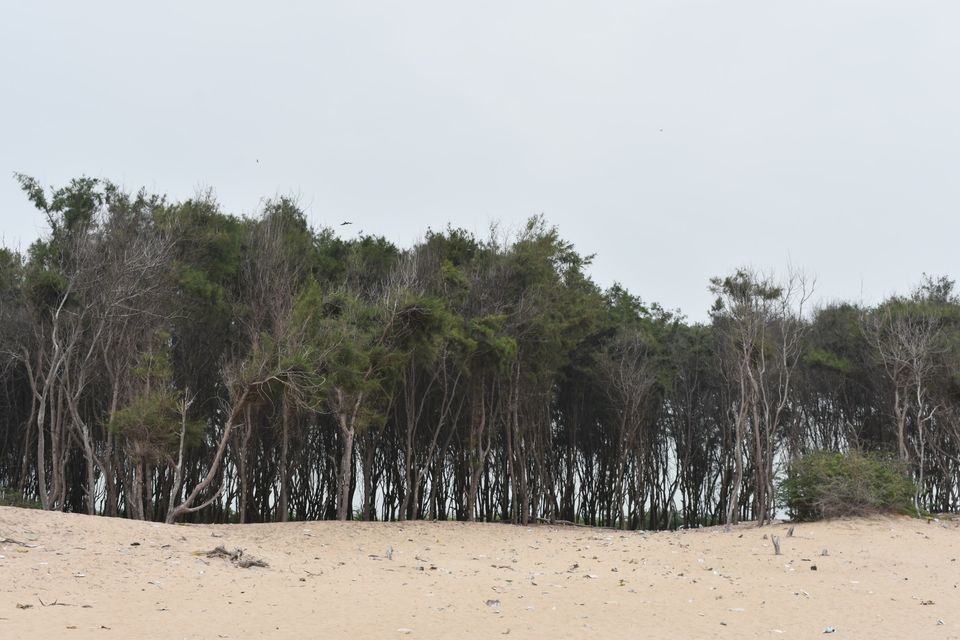 Photo of Dhanushkodi, Tamil Nadu, India by thileepan velan
