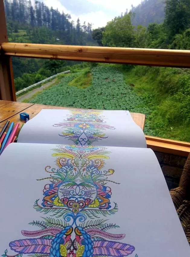 Photo of Taking it slow - Life in Jibhi #himachalpradesh by Sonali