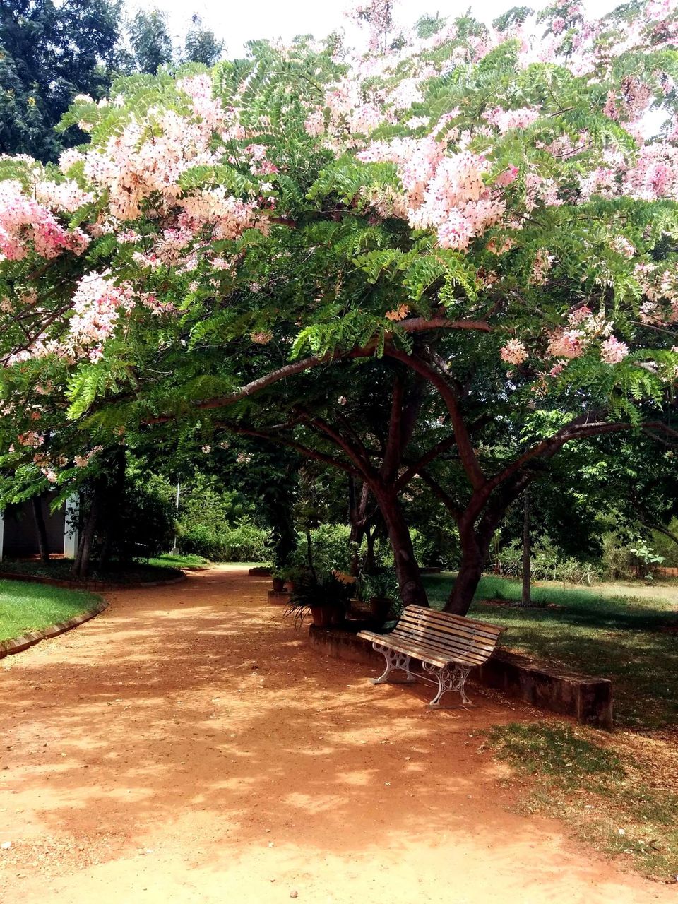 Photo of Auroville – Live a little 1/10 by Sonali