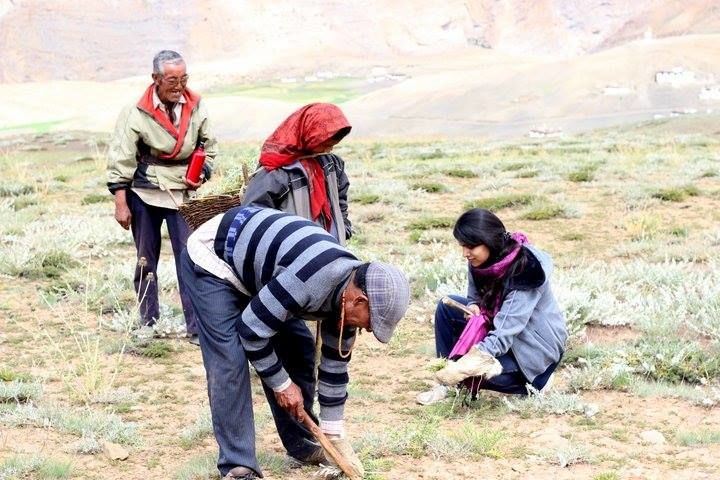 Photo of Backpacking Solo - Spiti Valley 5/21 by Sonali