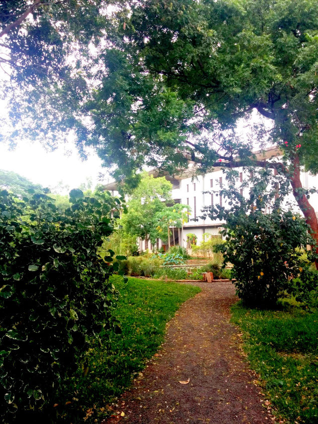 Photo of Auroville – Live a little 9/10 by Sonali