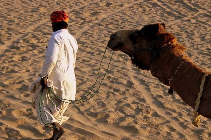 Photo of Footsteps in the golden city - Jaisalmer by Sonali