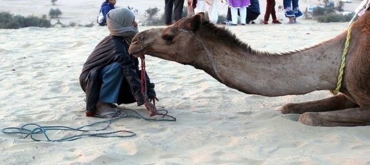 Photo of Footsteps in the golden city - Jaisalmer by Sonali