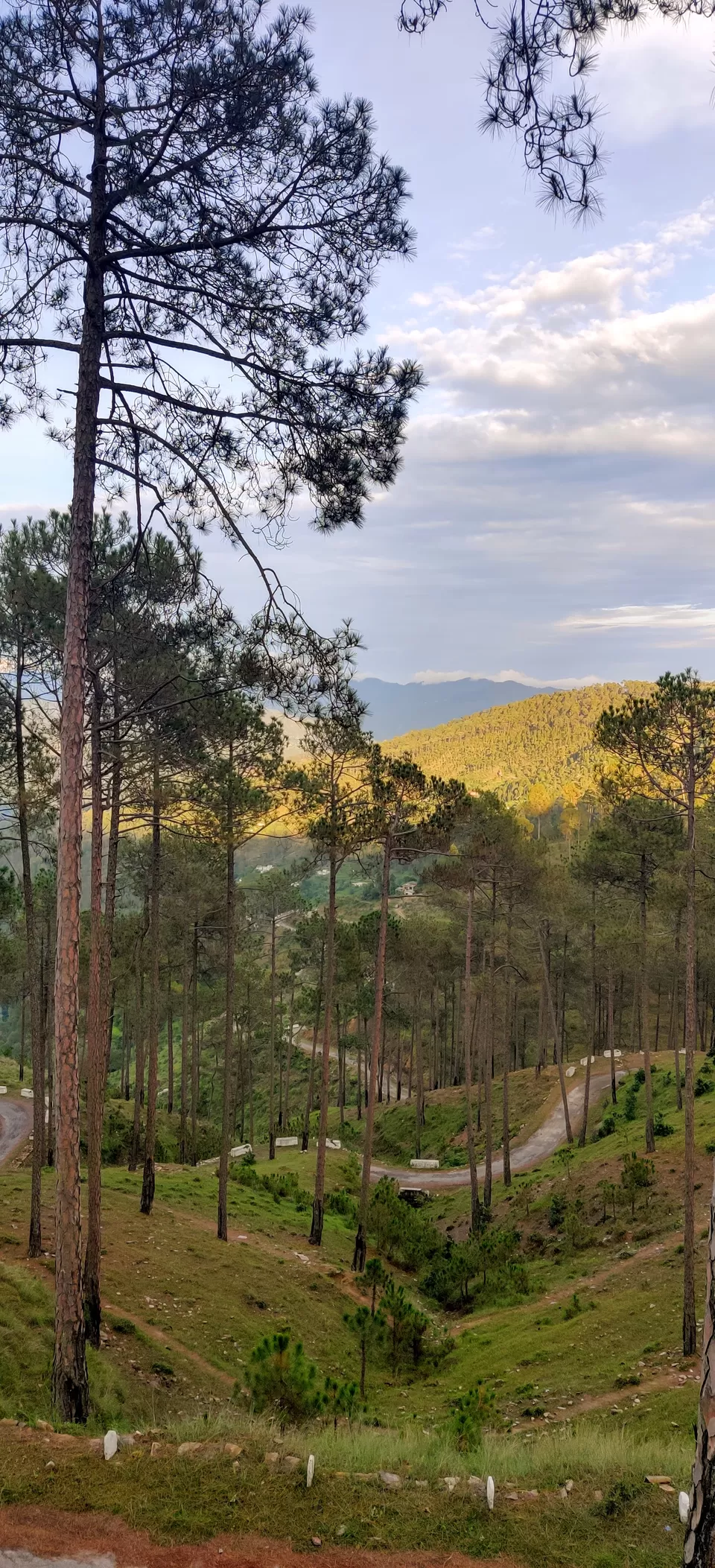 Photo of Falling in Love One Day at a Time in Kasar #DestinationSurprise by Sonali