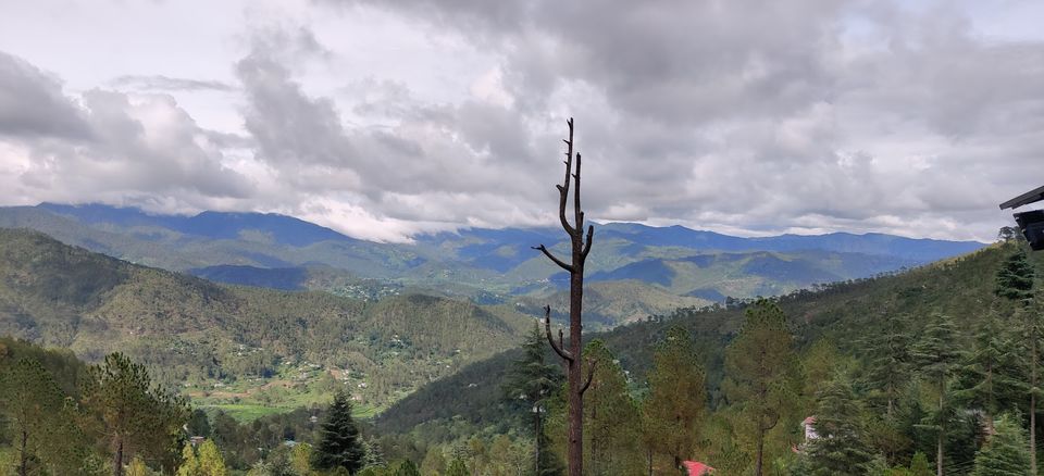 Photo of The 'magnetic' pull of Kasar Devi - My solo escapades. by Sonali