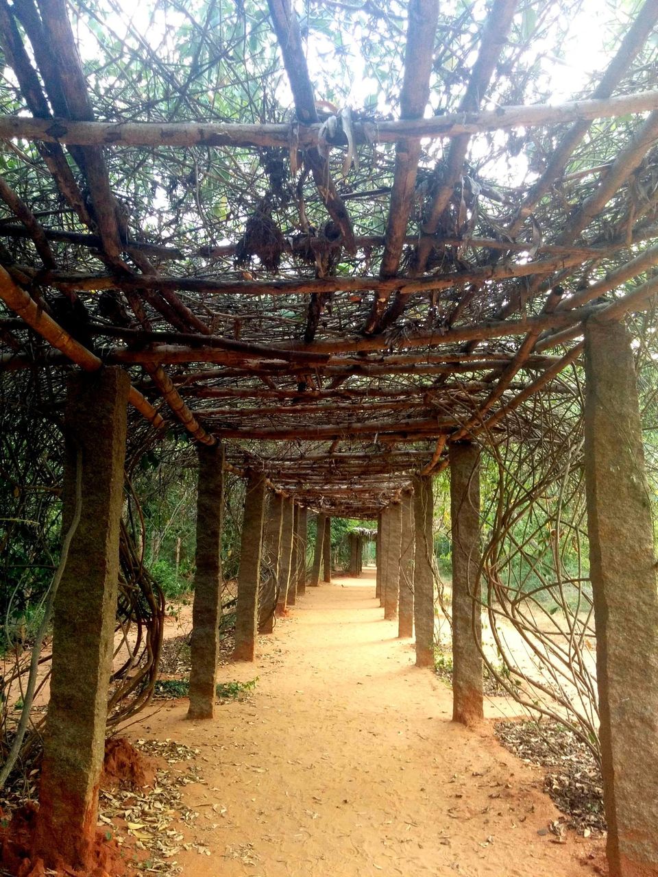 Photo of Auroville – Live a little 4/10 by Sonali
