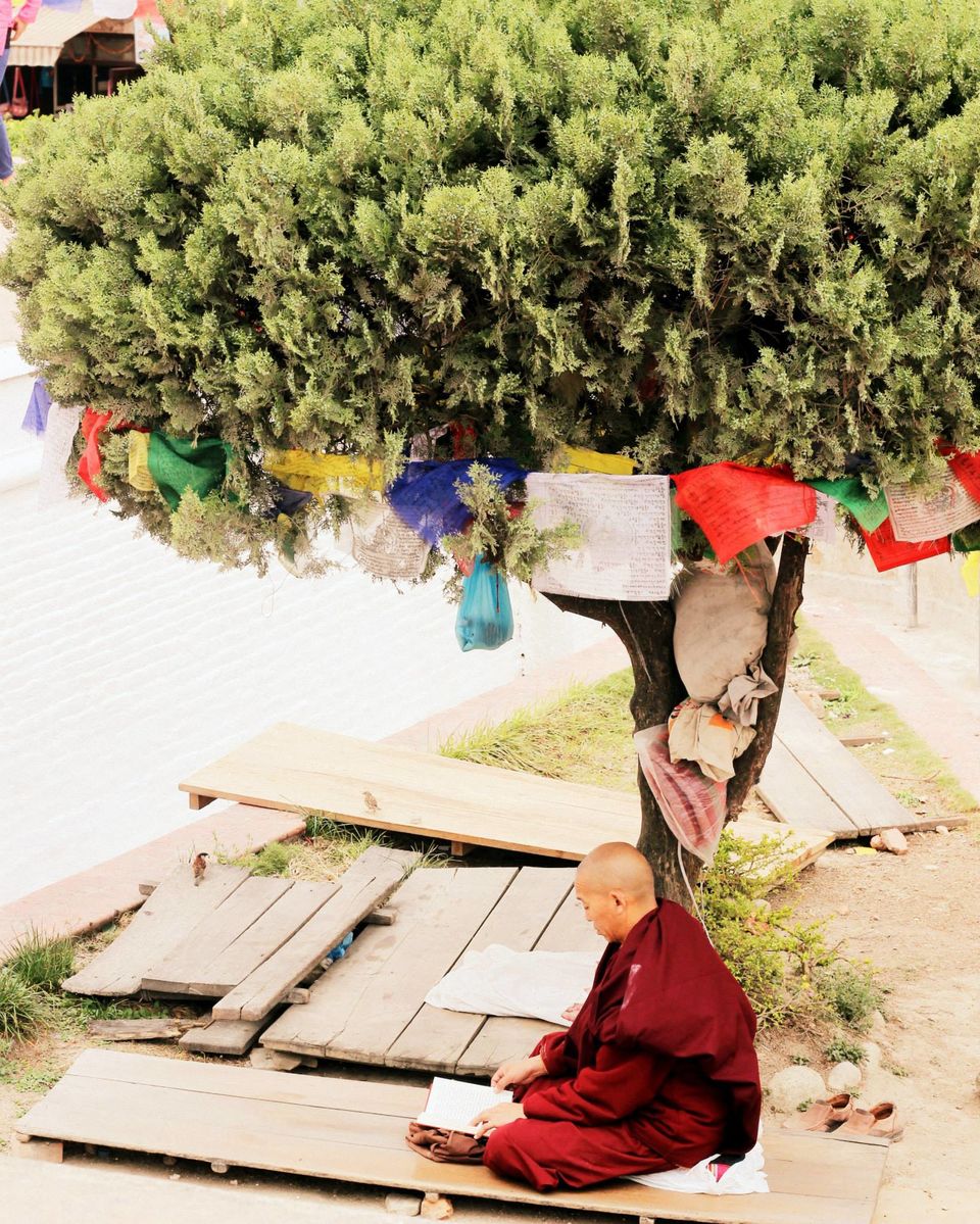 Photo of Nepal Diaries 3/17 by Sonali