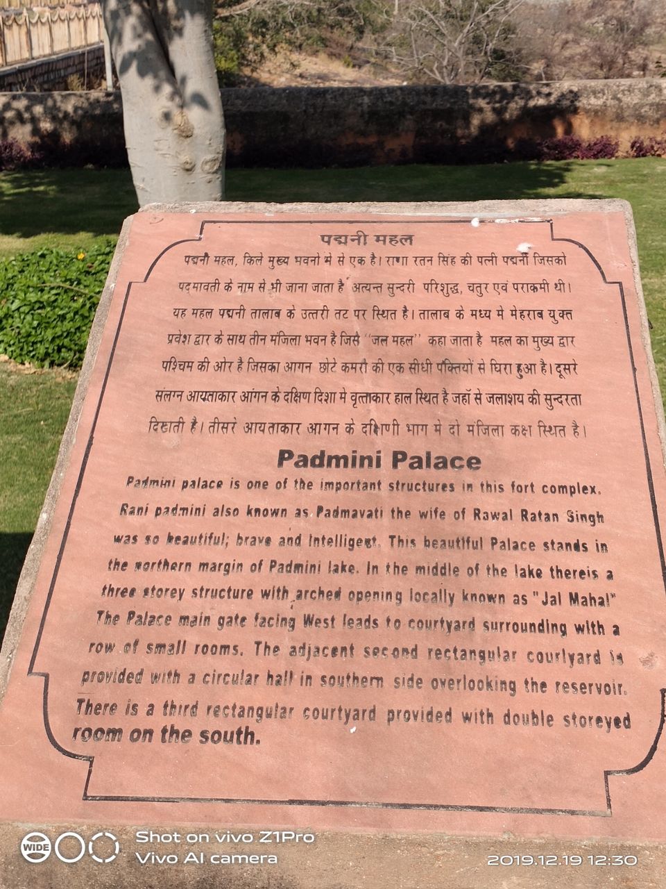 Photo of Rangilo Rajasthan by Sujata Rane Telrandhe