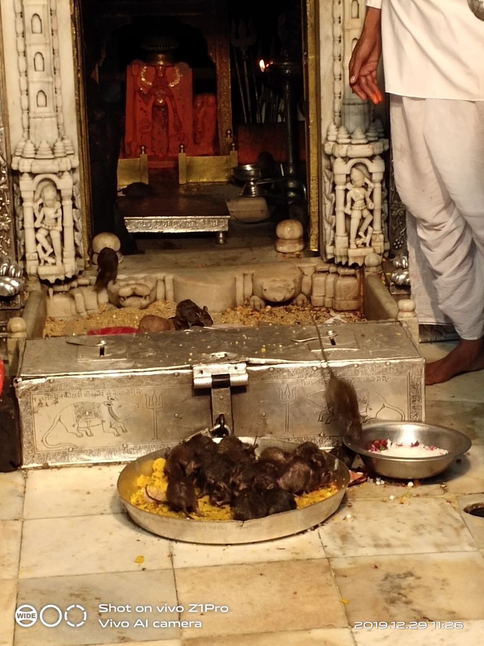 Photo of Rangilo Rajasthan by Sujata Rane Telrandhe
