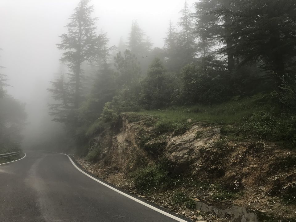 Photo of MUSSOORIE IS OVERRATED THIS SMALL TOWN IN UTTARAKHAND WILL GIVE YOU EXPERIENCE OF NATURE AT ITS BEST by Parmeet Suri