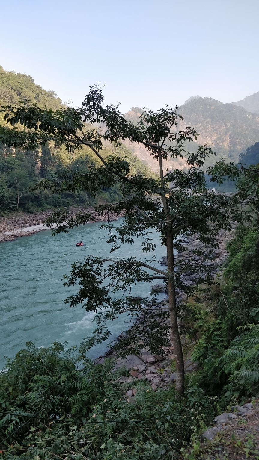 Photo of Rishikesh, Uttarakhand, India by Traveller Triadi