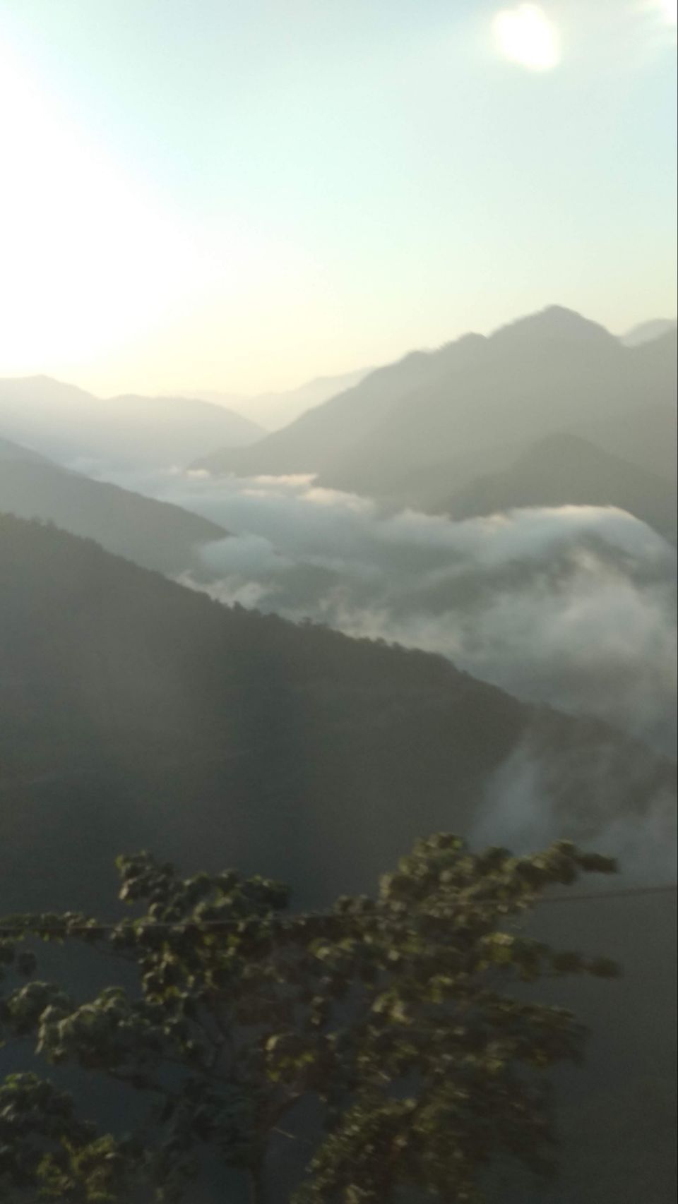 Photo of Rishikesh, Uttarakhand, India by Traveller Triadi