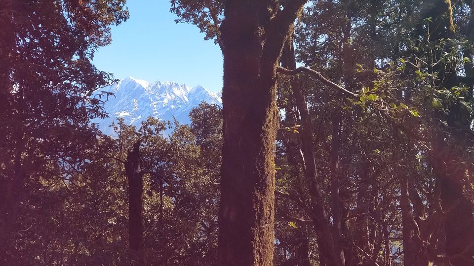 Photo of IIM (indians in mountain) Bramhtal trek by Traveller Triadi
