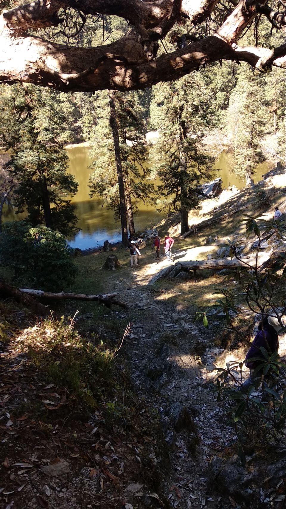 Photo of IIM (indians in mountain) Bramhtal trek by Traveller Triadi