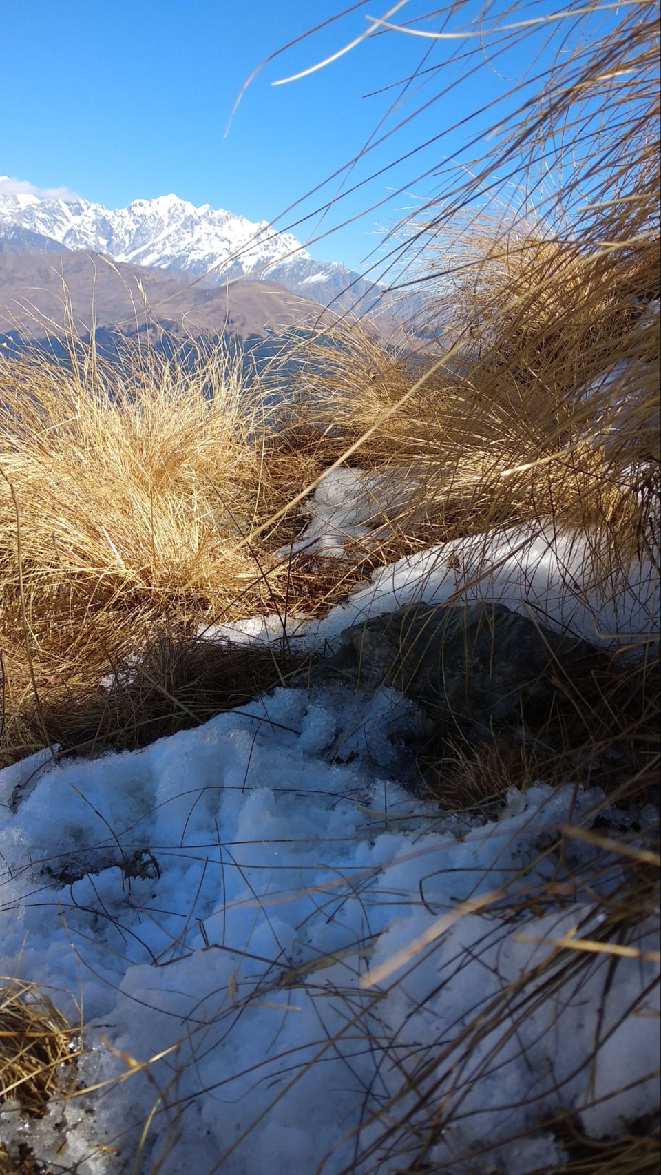 Photo of IIM (indians in mountain) Bramhtal trek by Traveller Triadi