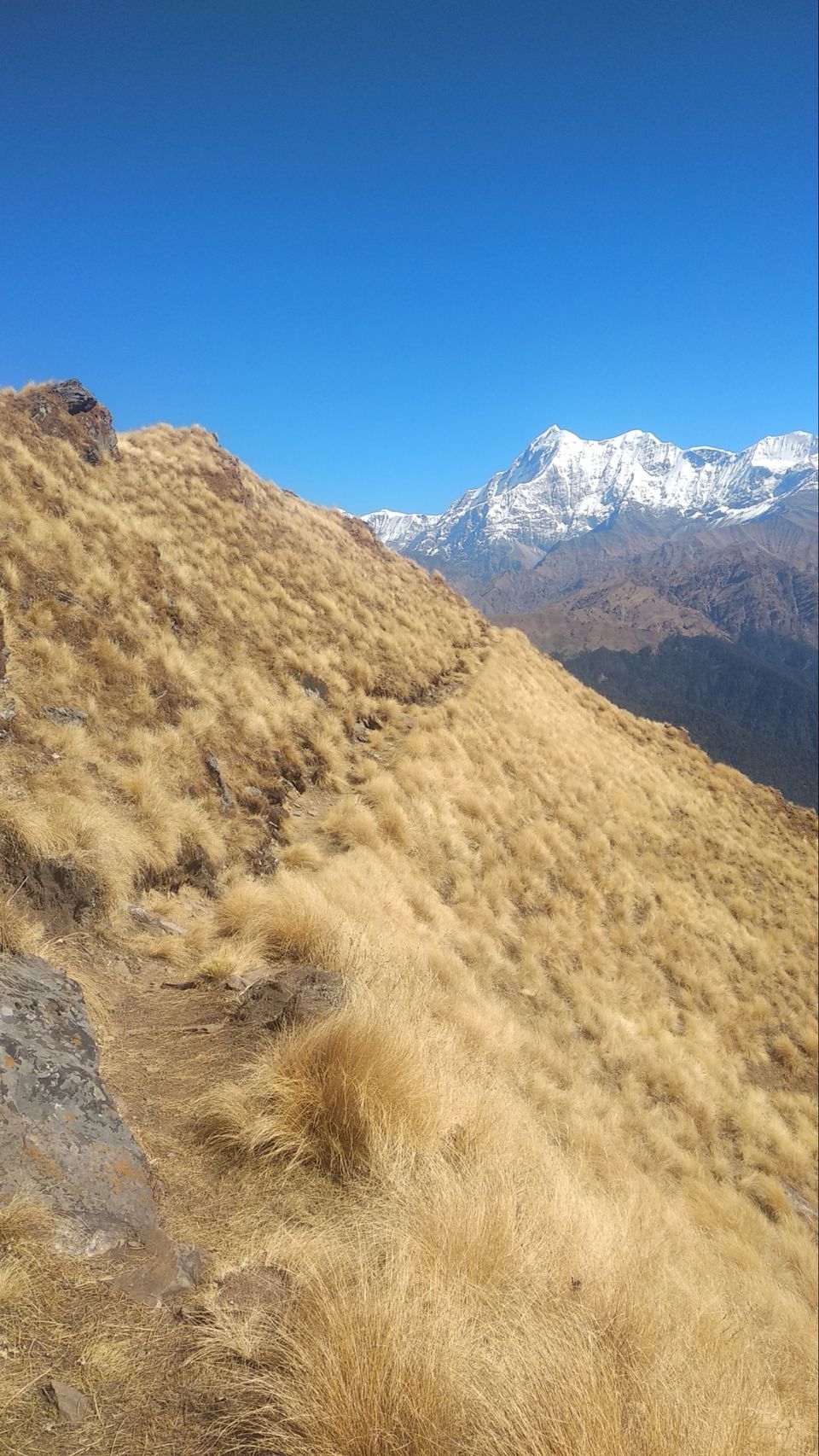 Photo of IIM (indians in mountain) Bramhtal trek by Traveller Triadi