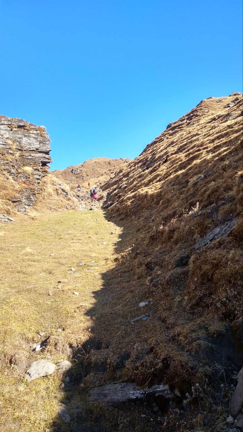 Photo of IIM (indians in mountain) Bramhtal trek by Traveller Triadi