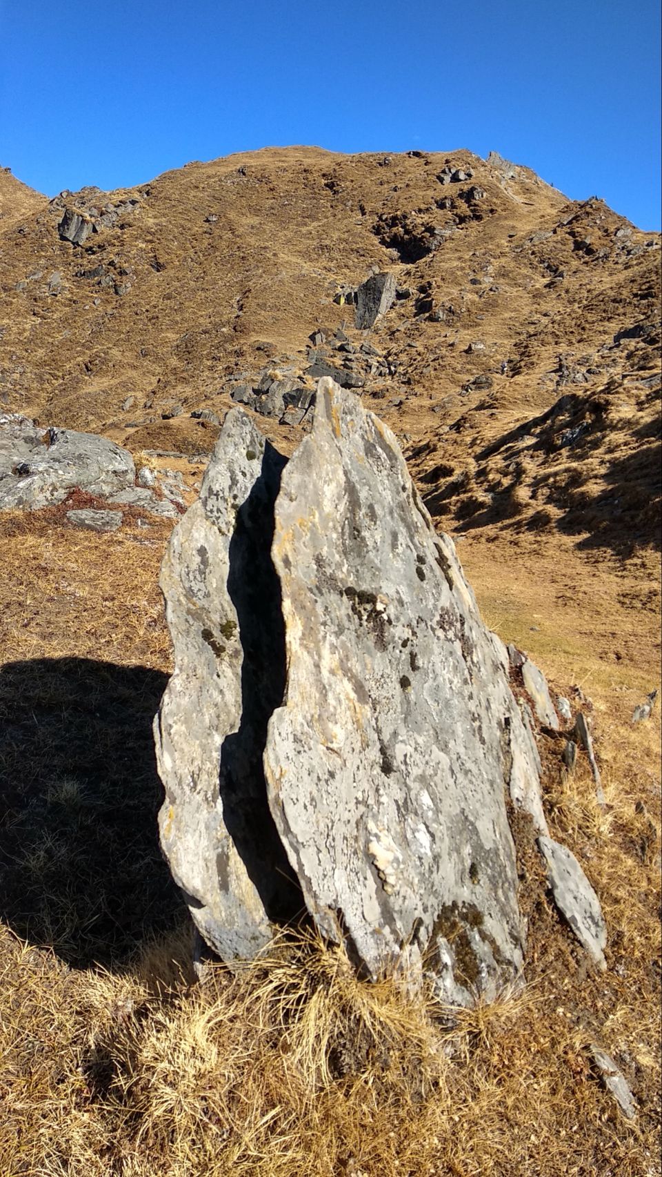 Photo of IIM (indians in mountain) Bramhtal trek by Traveller Triadi