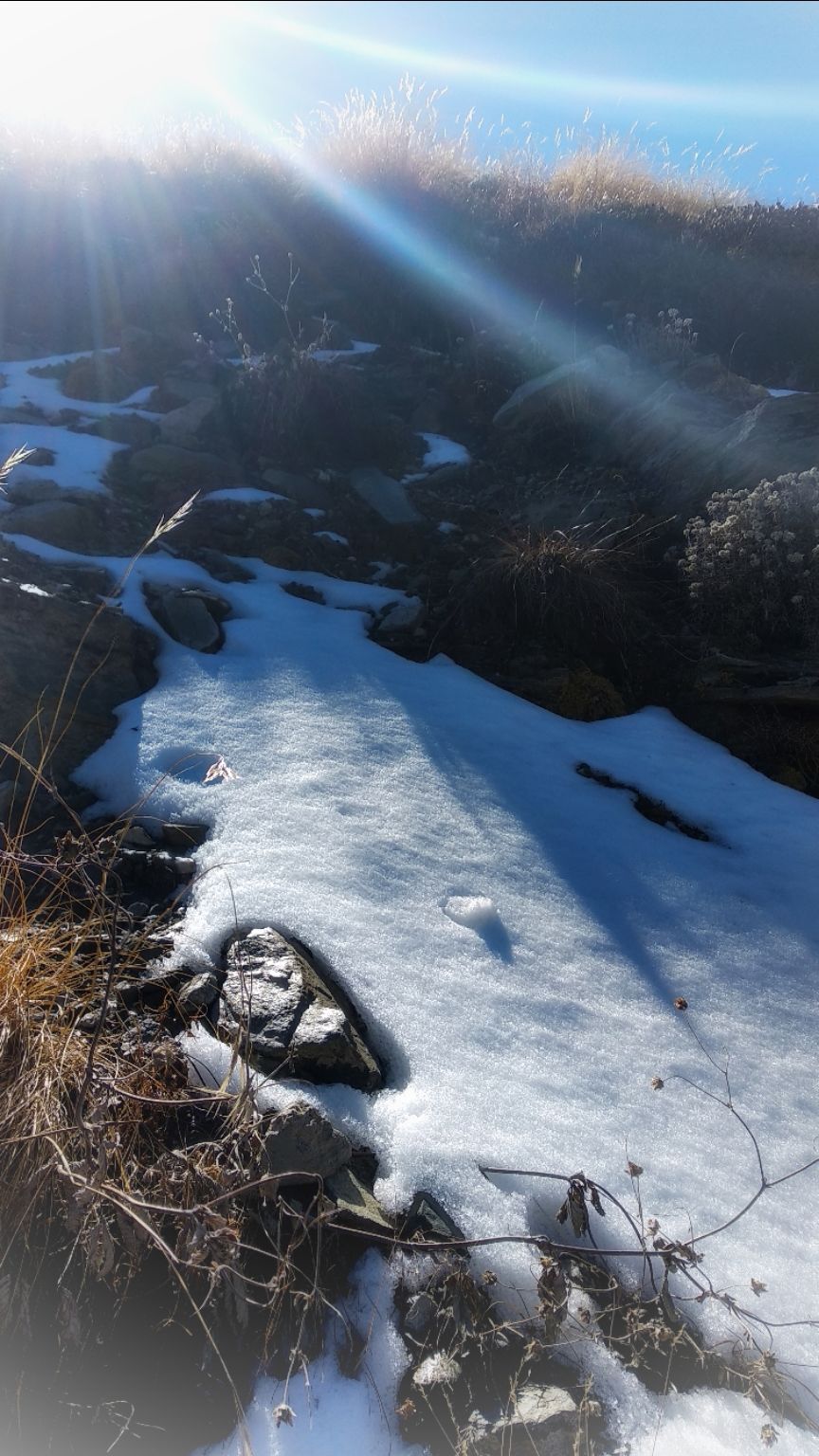 Photo of IIM (indians in mountain) Bramhtal trek by Traveller Triadi
