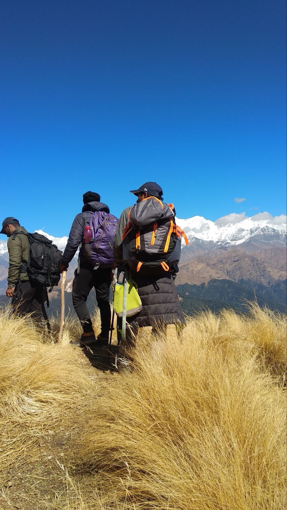 Photo of IIM (indians in mountain) Bramhtal trek by Traveller Triadi