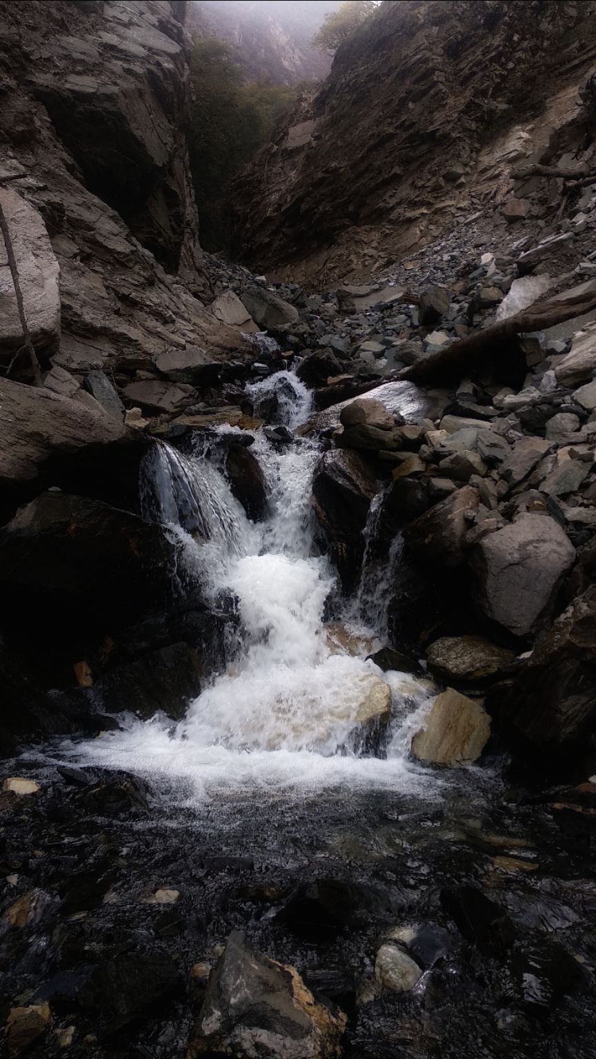 Photo of IIM (indians in mountain) Bramhtal trek by Traveller Triadi