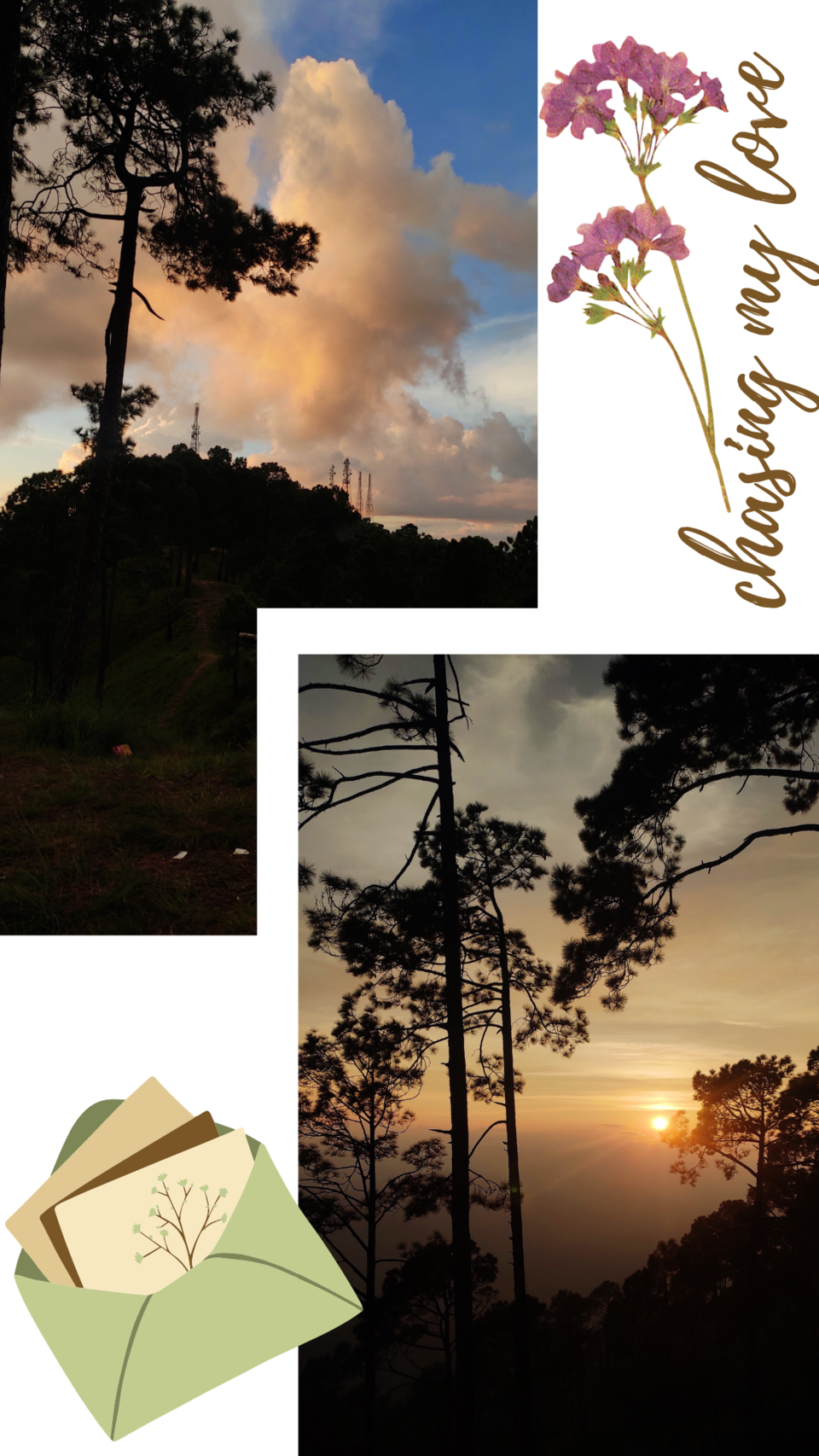 Photo of Things to do in Kasar Devi 4/8 by Anushree Khubele