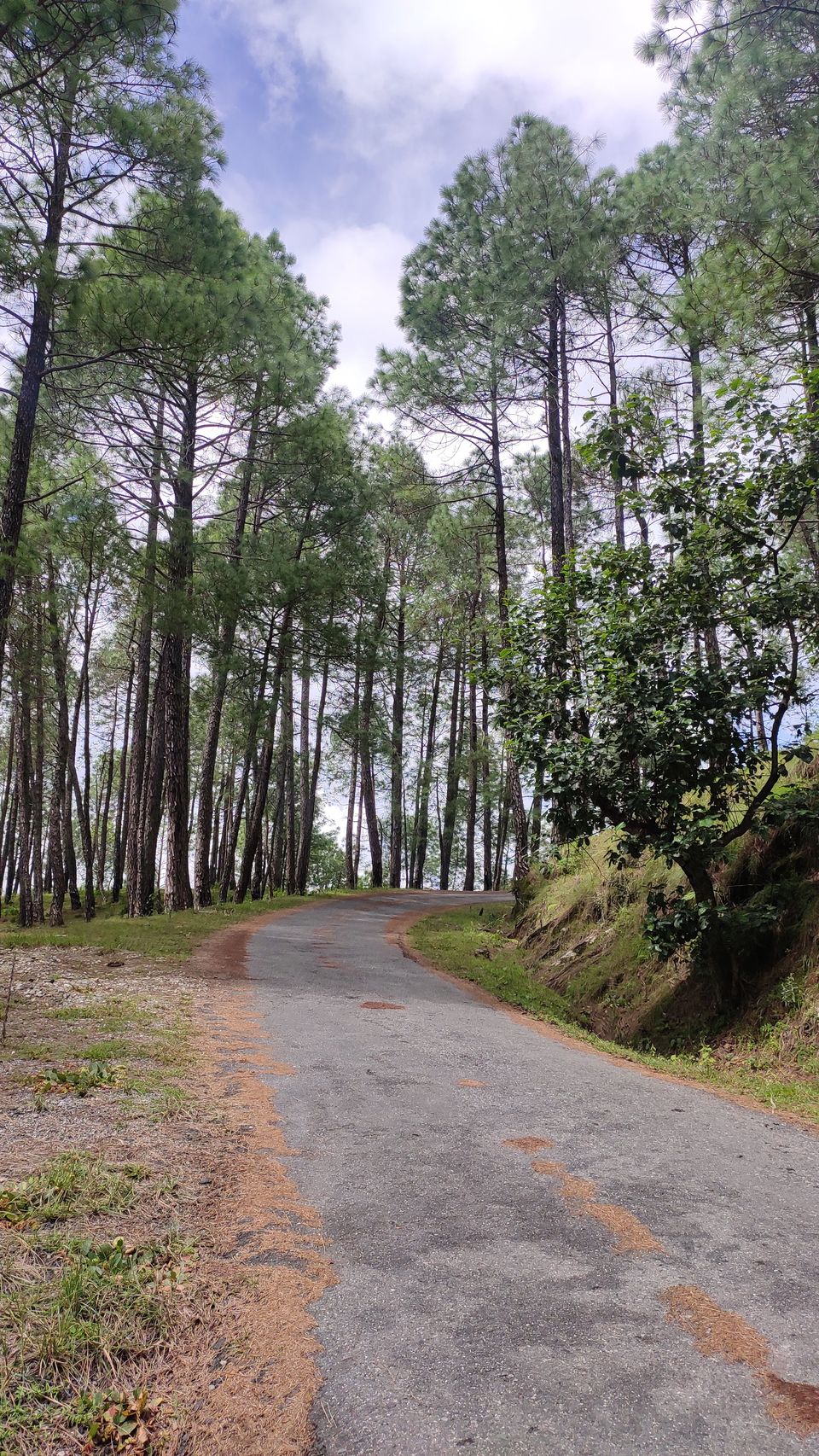 Photo of Things to do in Kasar Devi 8/8 by Anushree Khubele