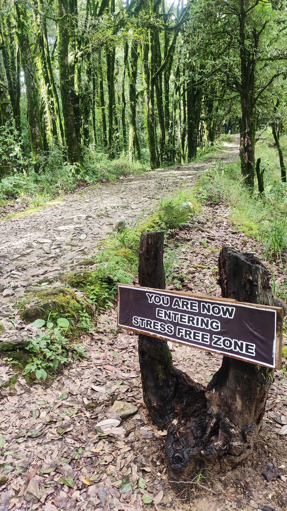 Photo of Things to do in Kasar Devi 7/8 by Anushree Khubele