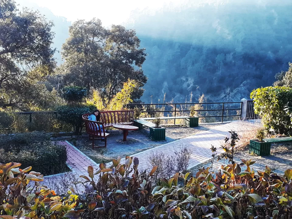 Photo of Himalayan Botanical Garden, Smanora Range, Nainital, Uttarakhand, India by Himanshu Kumar