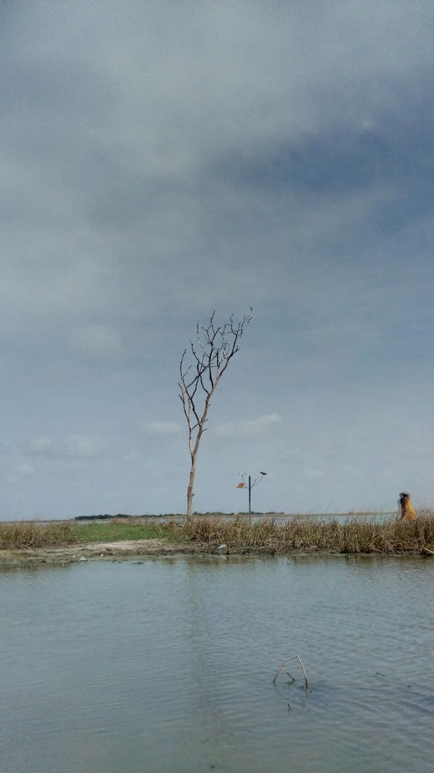 Photo of Solo Road Trip in Outskirts of Ahemdabad by Hardik Bhakhar