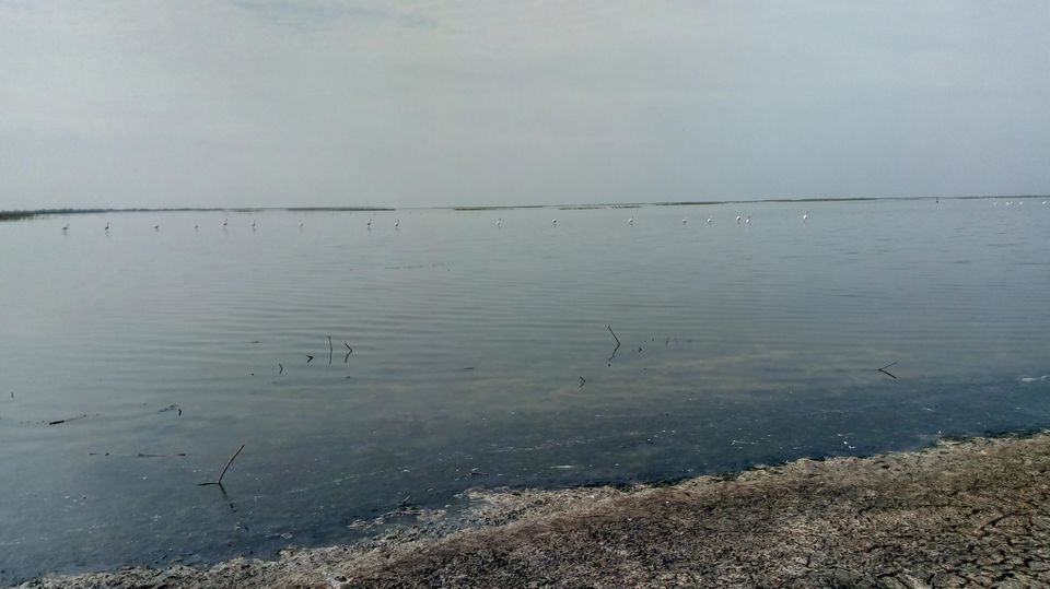 Photo of Solo Road Trip in Outskirts of Ahemdabad by Hardik Bhakhar