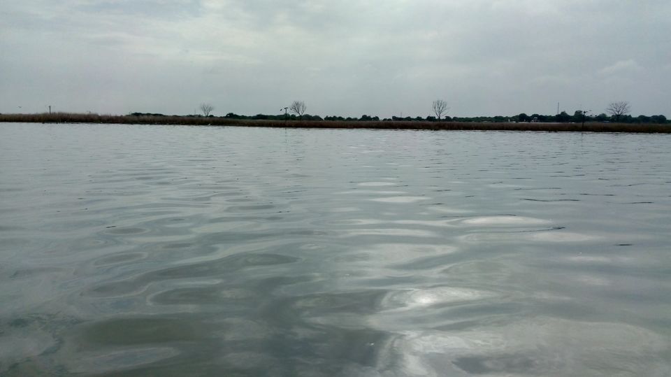 Photo of Nalsarovar -, Nalsarovar, Gujarat, India by Hardik Bhakhar
