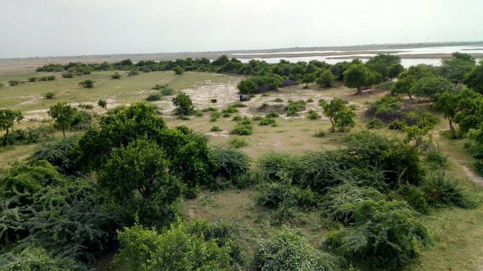Photo of Nalsarovar -, Nalsarovar, Gujarat, India by Hardik Bhakhar