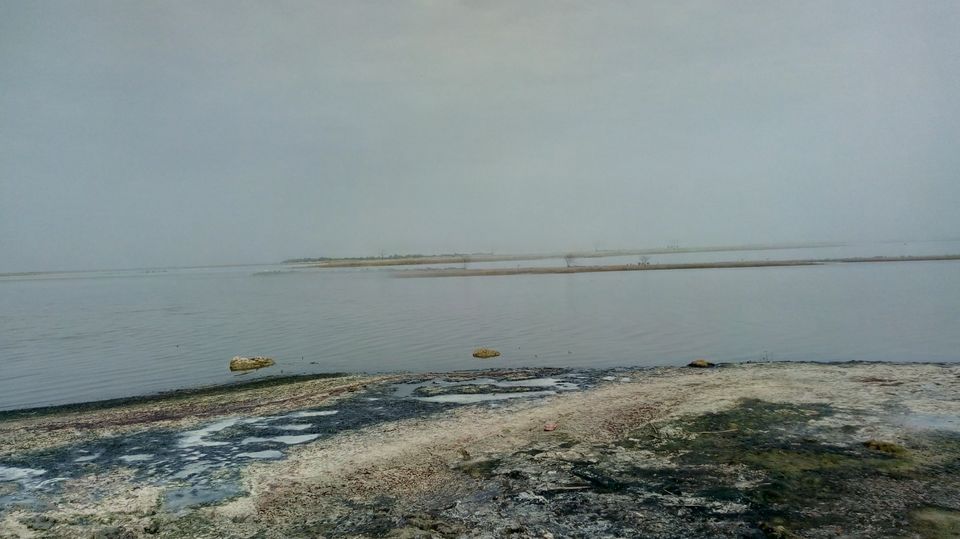 Photo of Nalsarovar -, Nalsarovar, Gujarat, India by Hardik Bhakhar