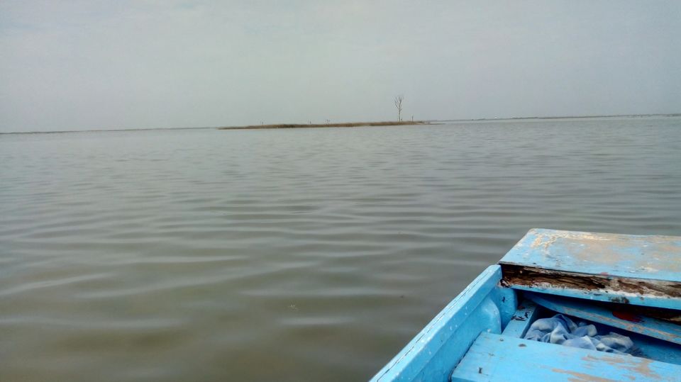 Photo of Nalsarovar -, Nalsarovar, Gujarat, India by Hardik Bhakhar